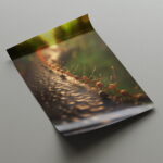 Ameisen Fotografie Bilder Poster Set Nahaufnahme Naturbilder für Tierfeunde – Bild 2