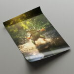 Frosch Fotografie Bilder Poster Set Nahaufnahme Naturbilder für Tierfeunde – Bild 3