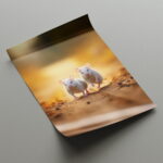 Maus Fotografie Bilder Poster Set Nahaufnahme Naturbilder für Tierfeunde – Bild 4