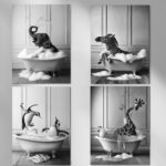 Lustige Badewanne Tierbilder Poster Set für Badezimmer
