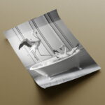 Lustige Badewanne Tierbilder Poster Set für Badezimmer – Bild 5