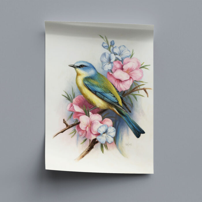 vogelbilder kunstdruck 6er wandbilder set zum einrahmen