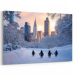 pinguine central park 01 1