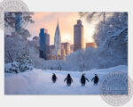 pinguine central park 01 6