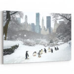 pinguine central park 02 1