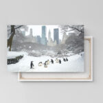 pinguine central park 02 2