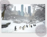 pinguine central park 02 6