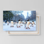 pinguine central park 03 2