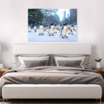 pinguine central park 03 3