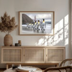 pinguine golden gate 01 4