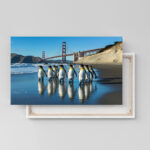 pinguine golden gate 02 2