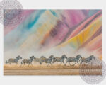 zebras 02 6