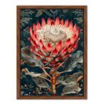 Md Walnuss Rahmen 104