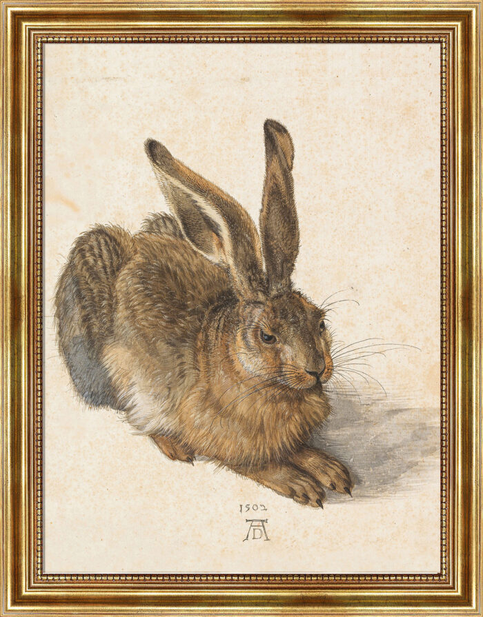 Albrecht Dürer Feldhase Bild mit Rahmen in Gold (Kopie)