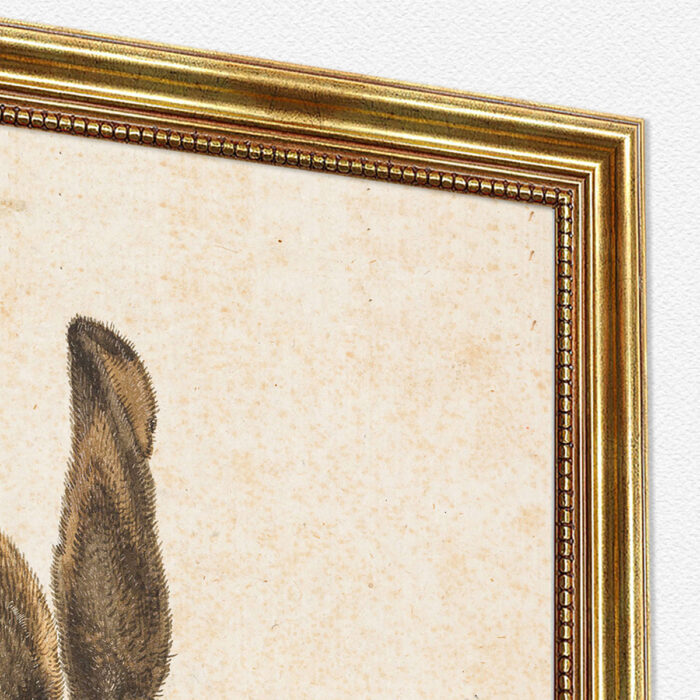 Albrecht Dürer Feldhase Bild mit Rahmen in Gold (Kopie)
