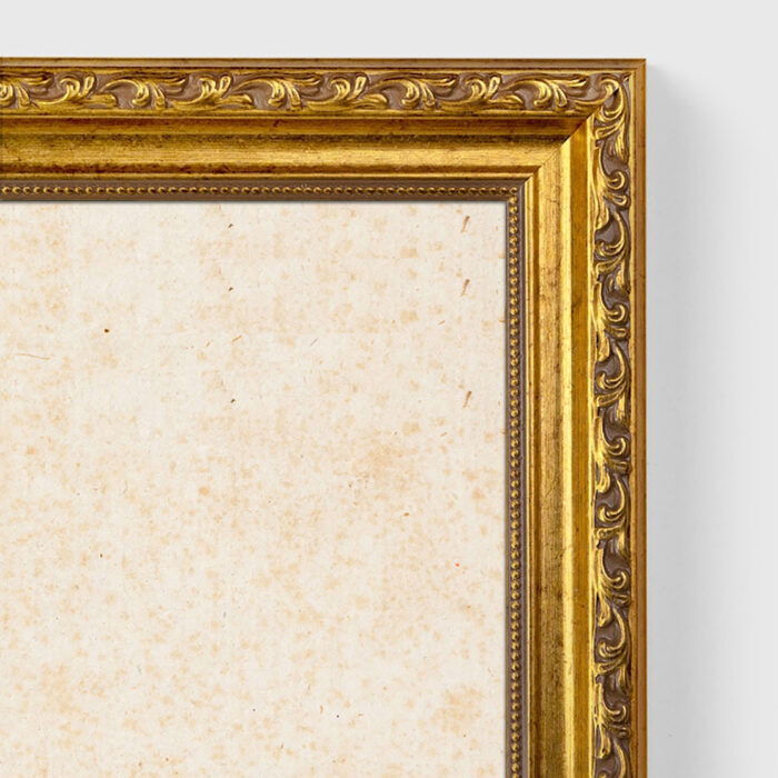 Albrecht Dürer Hare Vintage picture with frame in gold (Kopie)