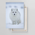 Polarfuchses  Leinwandbild Arktische Eleganz Schlafzimmer Bild Wohnzimmer Tier Kunst Natur Kunstdruck