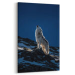Arktischer Wolf Schrei unter Polarnacht Leinwandbild Arktische Eleganz Schlafzimmer Bild Wohnzimmer Tier Kunst Natur Kunstdruck (Kopie)