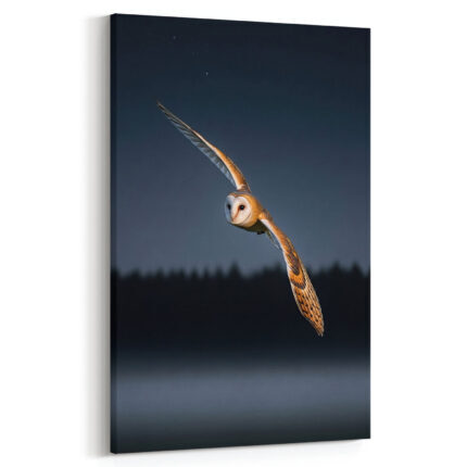 Nachtjäger Schleiereule im stillen Flug Leinwandbild Arktische Eleganz Schlafzimmer Bild Wohnzimmer Tier Kunst Natur Kunstdruck