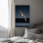 Nachtjäger Schleiereule im stillen Flug Leinwandbild Arktische Eleganz Schlafzimmer Bild Wohnzimmer Tier Kunst Natur Kunstdruck