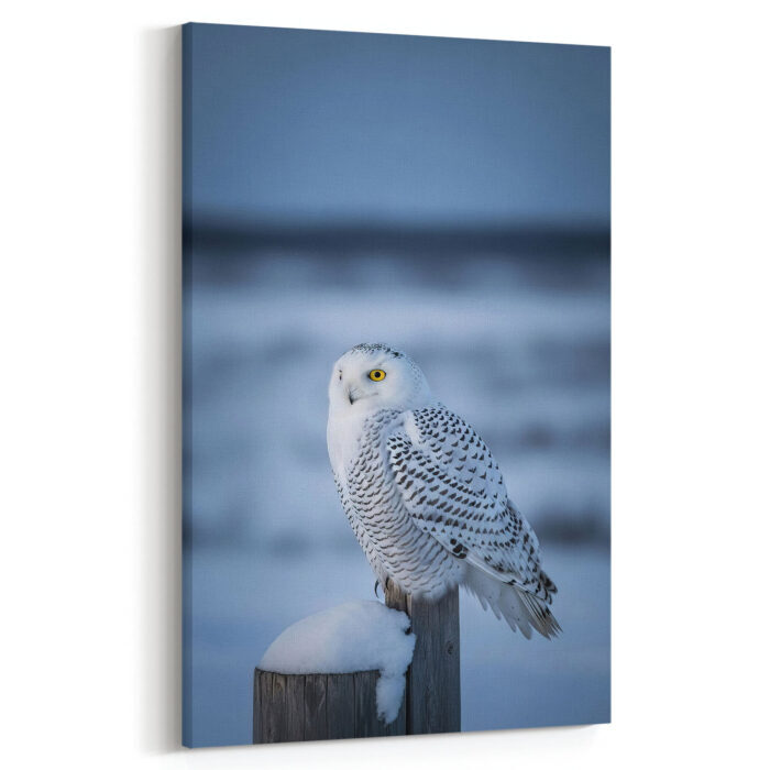 Schneeeule in der Dämmerung Leinwandbild Schlafzimmer Bild Wohnzimmer Tier Kunst Natur Kunstdruck