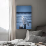 Schneeeule in der Dämmerung Leinwandbild Schlafzimmer Bild Wohnzimmer Tier Kunst Natur Kunstdruck