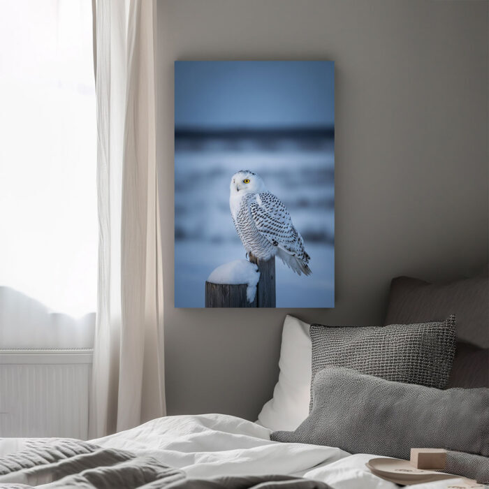 Schneeeule in der Dämmerung Leinwandbild Schlafzimmer Bild Wohnzimmer Tier Kunst Natur Kunstdruck