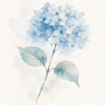 Blaue Hortensien