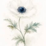 Blaue Anemone