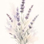 Lavendel im Abendlicht