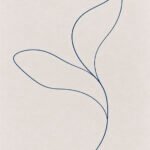 Botanische Linienzeichnung