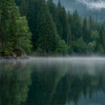 Nebel über dem Bergsee
