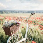 Fahrrad im Mohnfeld